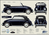 VW Beetle Karmann Cabriolet 1953-55